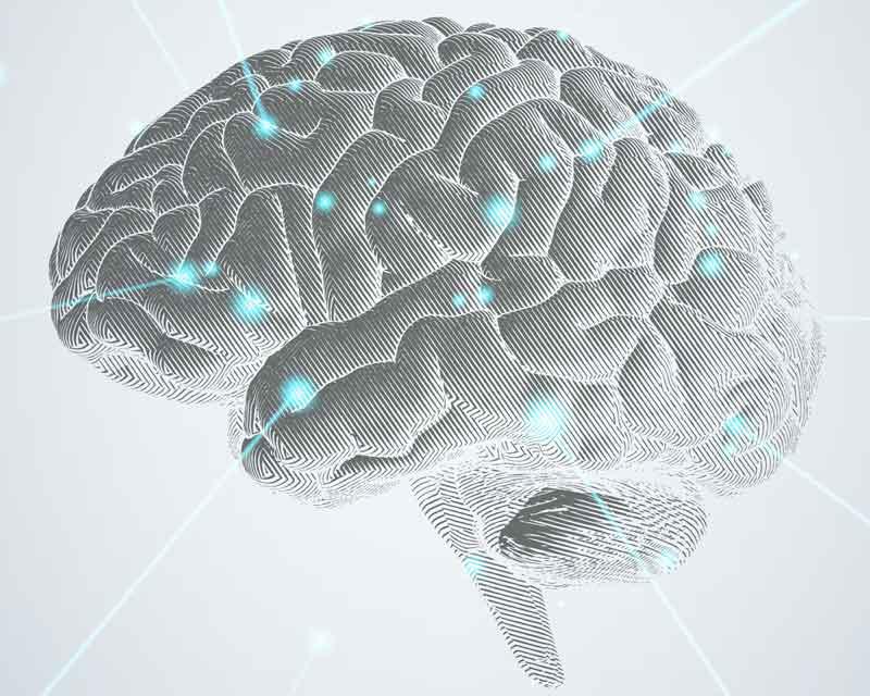 a bright white brain with soft blue dots sits on a white background