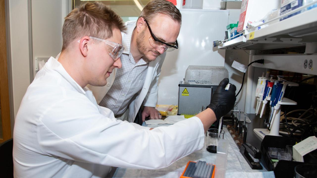 Associate Professor Matthew Reilly, right, and his team will use the novel models of traumatic optic neuropathy they developed to evaluate treatments. Here, he checks in with graduate research assistant Ryan Webb.